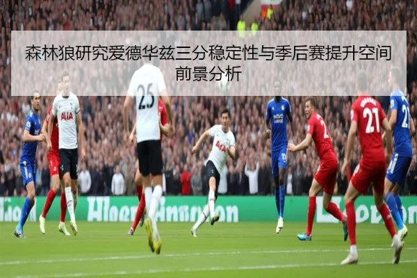 森林狼研究爱德华兹三分稳定性与季后赛提升空间前景分析